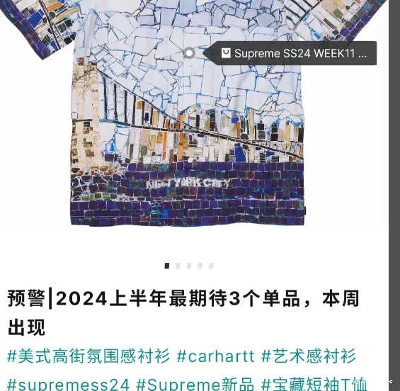 ￥229 MOSAIC 24SS SHIRT S S 0509